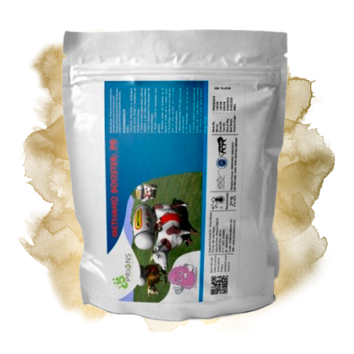 Design sem nome (10).png