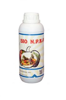 bio-n-p-213x320.jpg