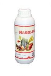 magic-pr-1-167x250.jpg